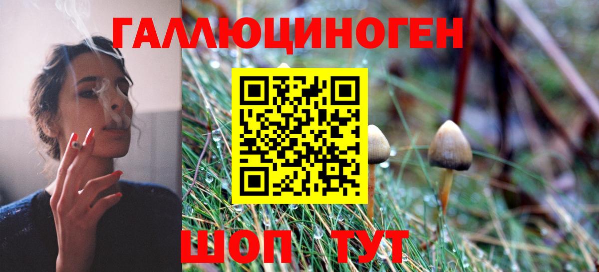 Галлюциногенные грибы Psilocybine cubensis  Галлюциногенные грибы GOLDEN TEACHER  Вход с VPN  где можно купить   Коммунар 